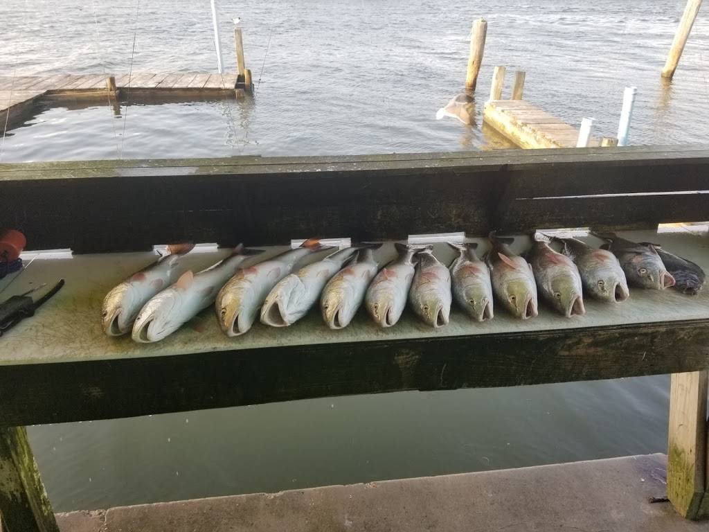 Billings Bait Stand | 13428 S Padre Island Dr, Corpus Christi, TX 78418, USA | Phone: (361) 949-8692