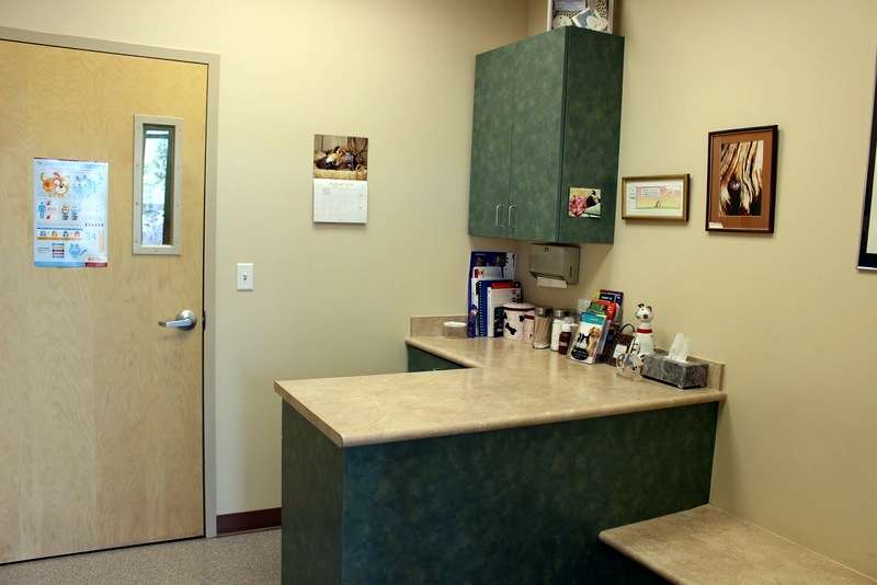 Broadlands Veterinary Clinic | 3800 W 144th Ave ste a-1000, Broomfield, CO 80023 | Phone: (303) 410-8522