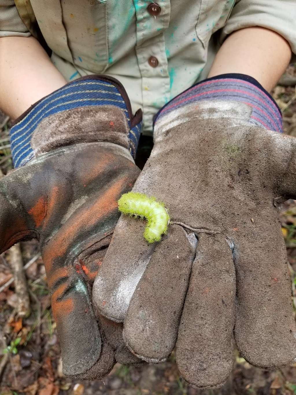 Treefrog Trailhead, Trinity River National Wildlife Refuge | 1620 Cypress St, Liberty, TX 77575, USA | Phone: (936) 336-9786