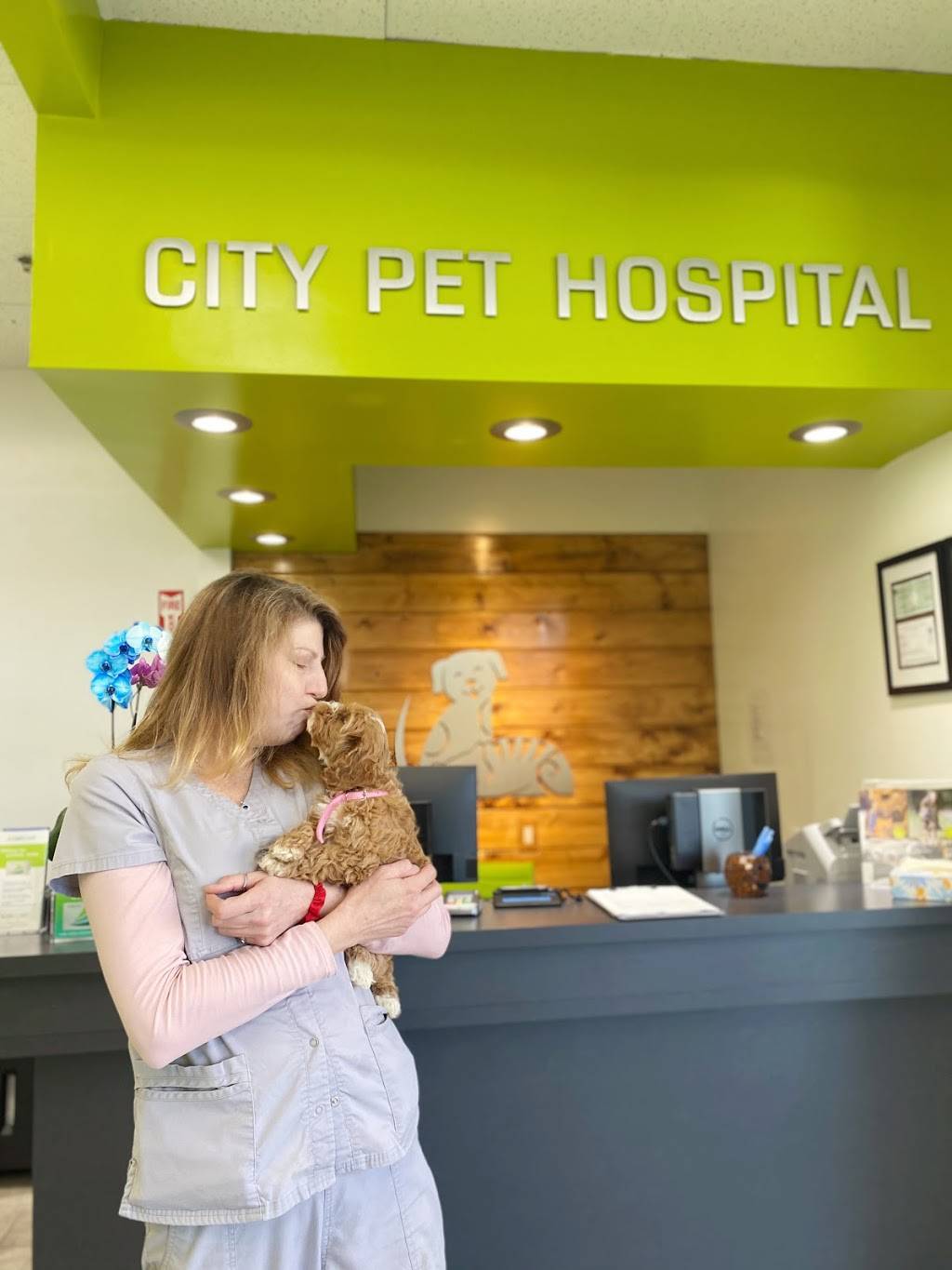 City Pet Hospital | 170 Skyline Plaza, Daly City, CA 94015, USA | Phone: (415) 859-5676