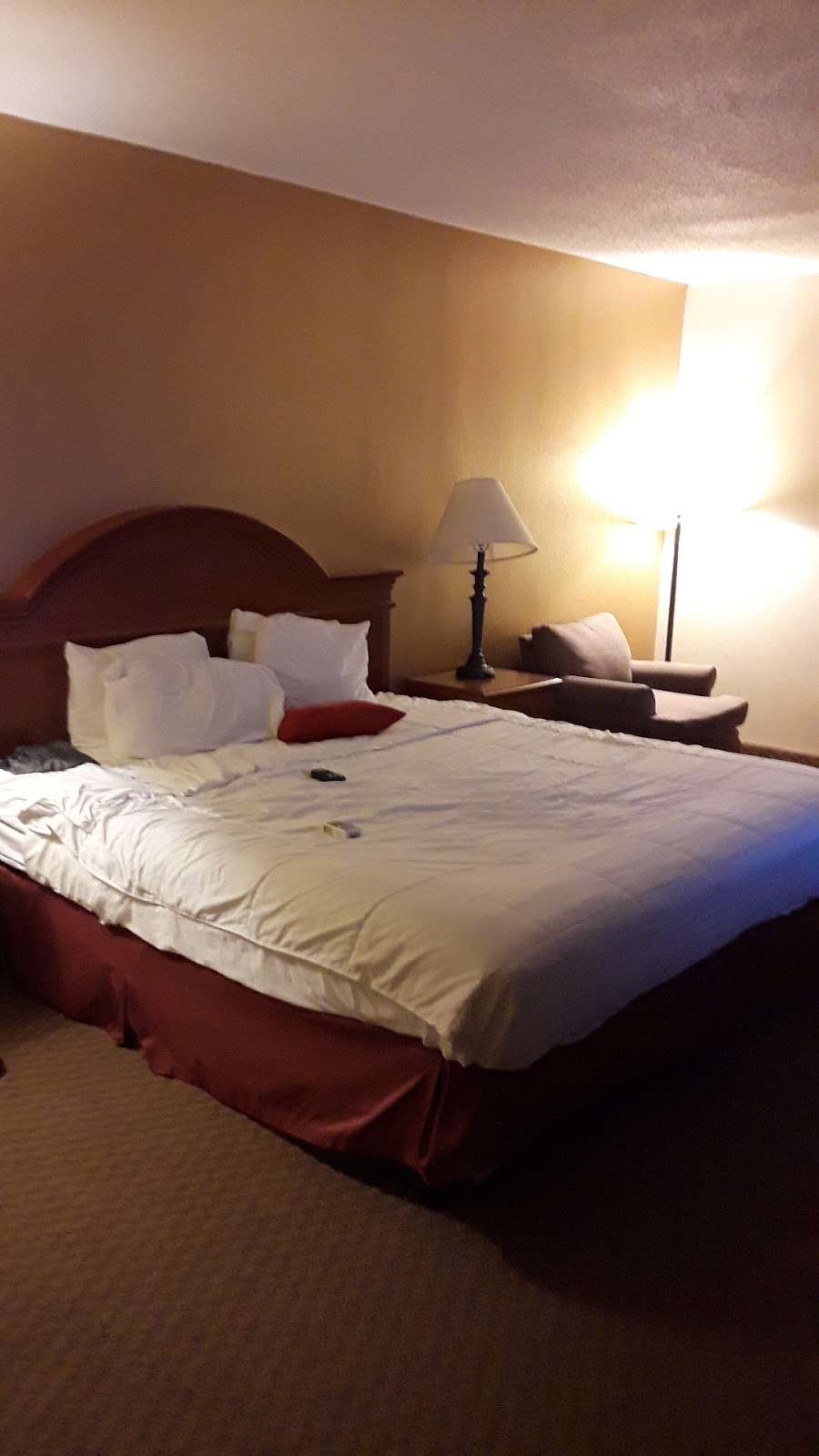 Hotel M, Mt Pocono | 1244 Pocono Blvd, Mt Pocono, PA 18344 | Phone: (570) 839-3600