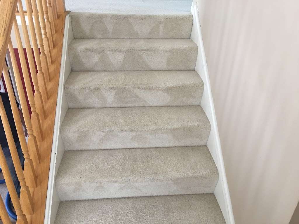 Totally Clean Carpet & Upholstery, LLC | 535 Telser Rd, Lake Zurich, IL 60047, USA | Phone: (847) 970-0920