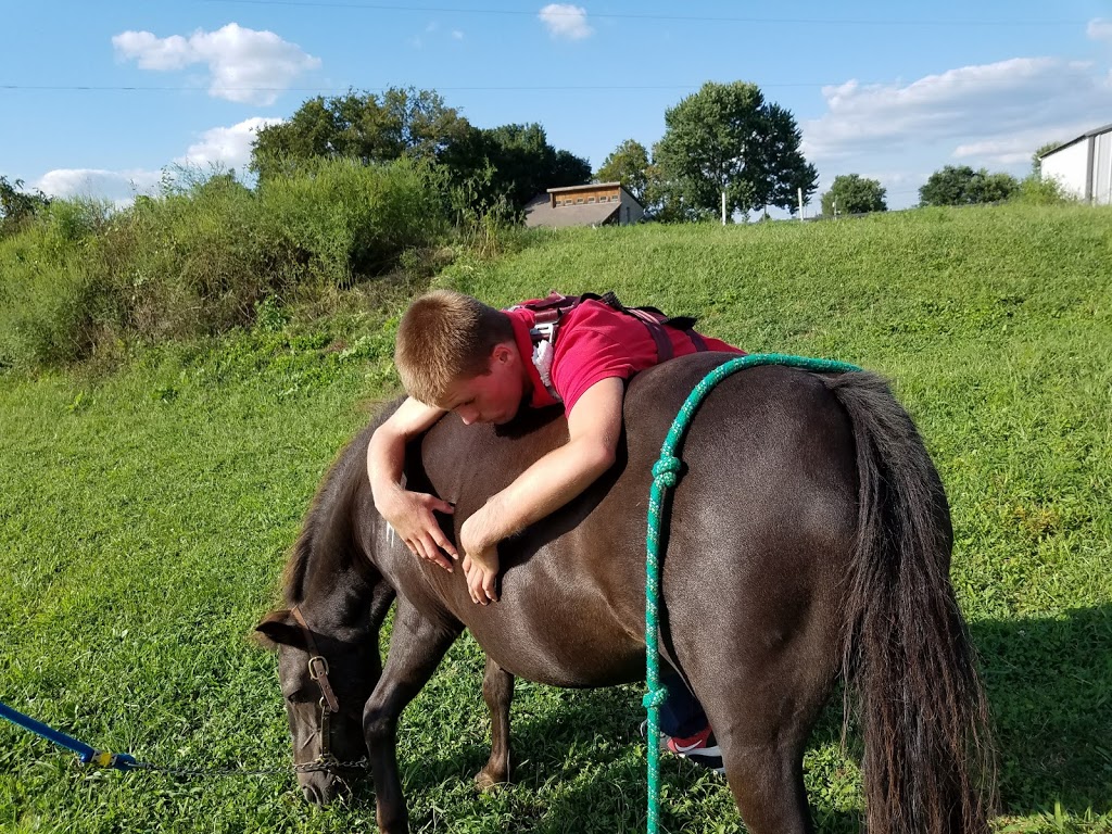 Sunburst Horsemanship School | 1129 Durham Ln, Nicholasville, KY 40356, USA | Phone: (859) 224-8480