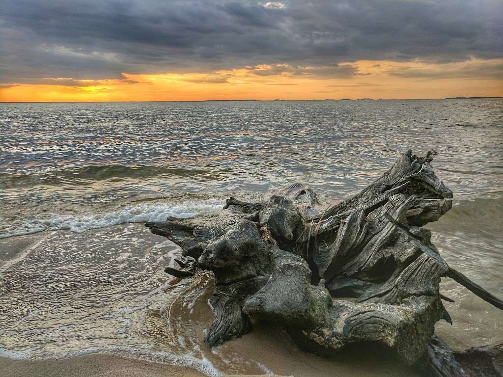 Roaring Point Park | Red Hill Ln, Nanticoke, MD 21840, USA