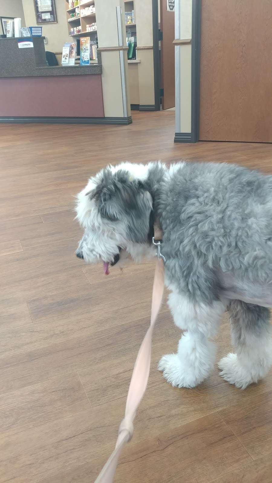 OConnor Animal Hospital | 3014 N OConnor Rd #100, Irving, TX 75062, USA | Phone: (972) 570-0234