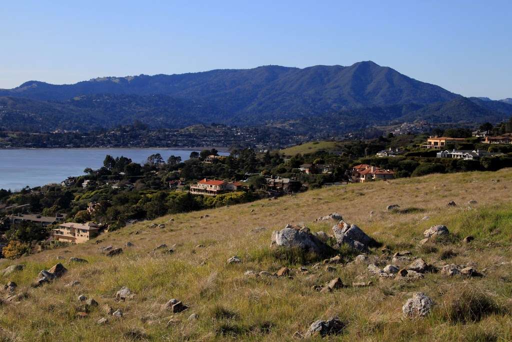 Tiburon Uplands Preserve | 3079 Paradise Dr, Belvedere Tiburon, CA 94920, USA | Phone: (415) 473-6388