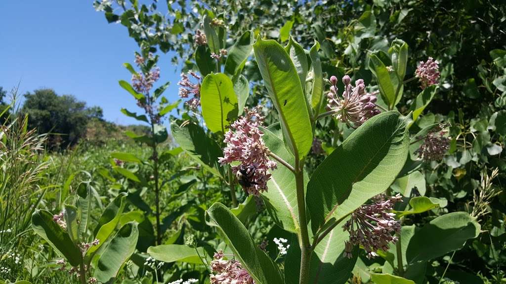 Prairie Creek Greenway | 16610 NW 130th St, Platte City, MO 64079, USA | Phone: (816) 858-3419