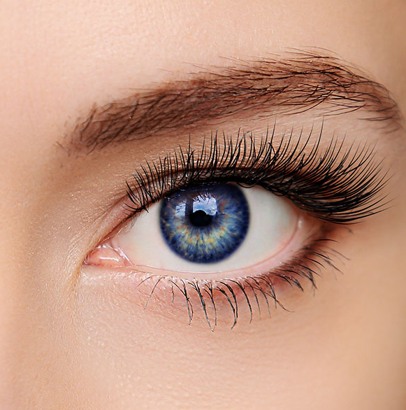 I Lure Lashes | 5420 Philadelphia Street #F, Chino, CA 91710, USA | Phone: (909) 517-3366