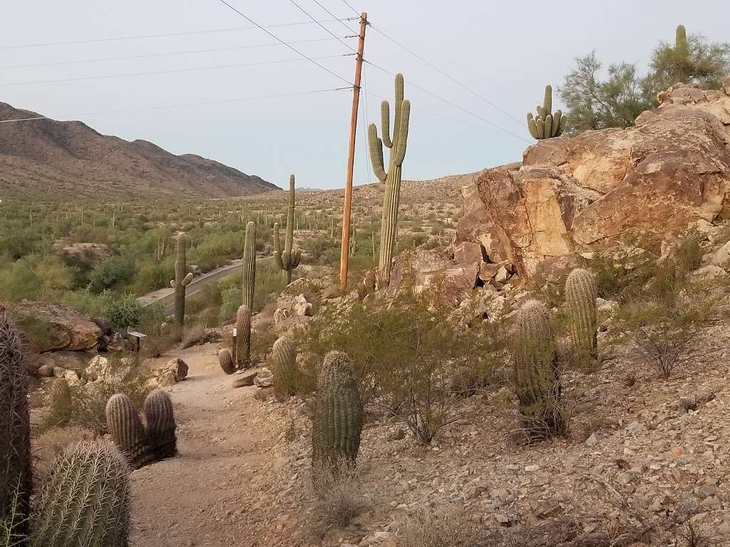 Max Delta Trail Trailhead | Phoenix, AZ 85041