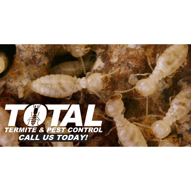 Total Termite & Pest Control | 2226 Birds Nest Ln, Chula Vista, CA 91915, USA