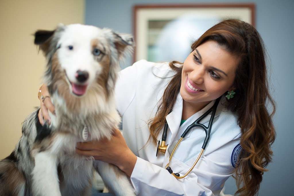 Midwestern University Companion Animal Clinic | 5715 W Utopia Rd, Glendale, AZ 85308, USA | Phone: (623) 806-7387