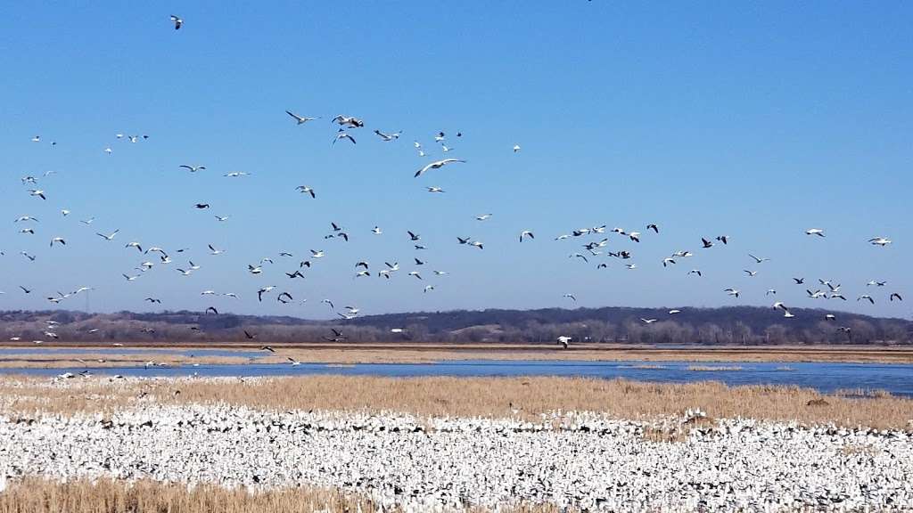 Loess Bluffs National Wildlife Refuge | 25542 US-159, Forest City, MO 64451 | Phone: (660) 442-3187