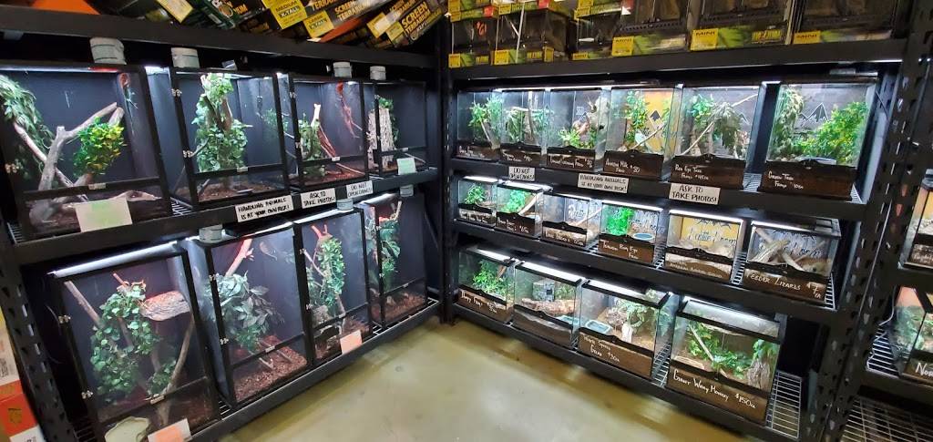 5280 Reptile Room - North | 11944 Washington St, Northglenn, CO 80233, USA | Phone: (720) 328-5074