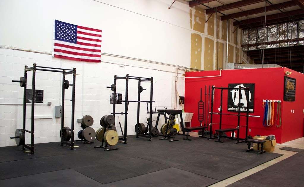 Savage City Strength | 216 US-206 #13, Hillsborough Township, NJ 08844 | Phone: (732) 429-9526