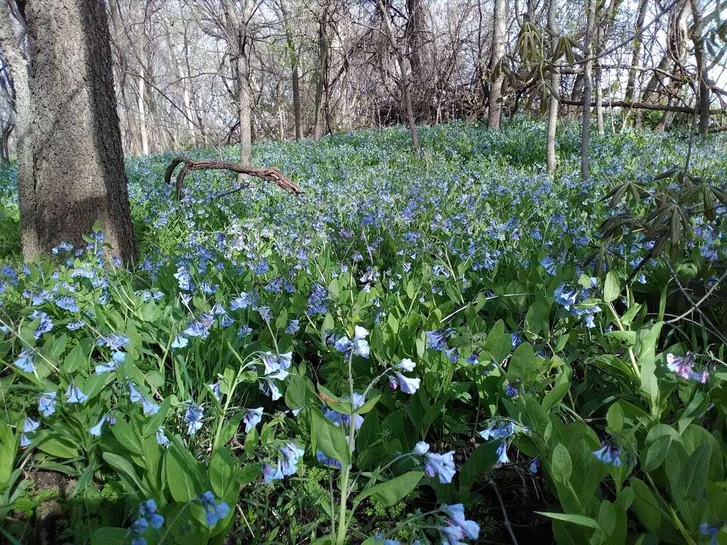 Little Blue Trace Trail Access and Picnic Area | Little Blue Trace Trail, Independence, MO 64056, USA