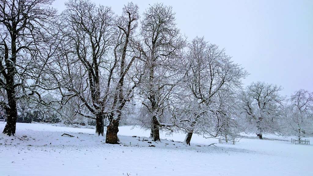 National Trust - Morven Park | Hatfield Rd, Potters Bar EN6 1HS, UK