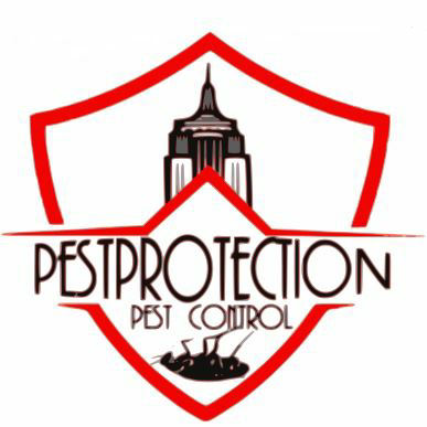 Pestprotection Pest Control | 14071 Peyton Dr #2455, Chino Hills, CA 91709, USA | Phone: (626) 483-1090