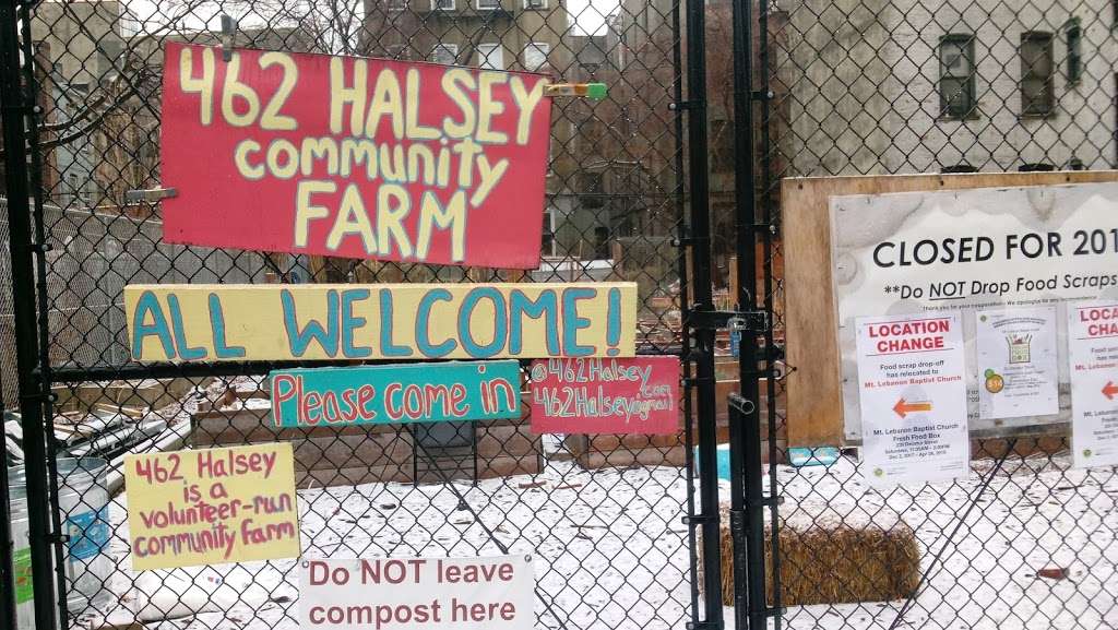 462 Halsey Community Gardens | Halsey St, Brooklyn, NY 11233, USA
