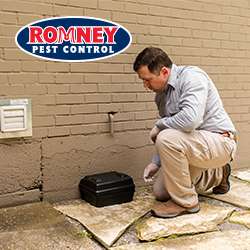 Romney Pest Control | 17170 Jordan Rd Suite 302, Selma, TX 78154, USA | Phone: (210) 446-5267 Romney Pest Control | 17170 Jordan Rd Suite 302, Selma, TX 78154, USA | Phone: (210) 446-5267