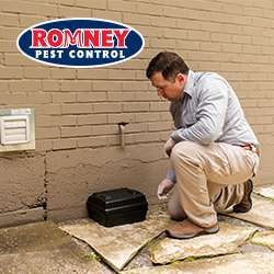 Romney Pest Control | 17170 Jordan Rd Suite 302, Selma, TX 78154, USA | Phone: (210) 446-5267