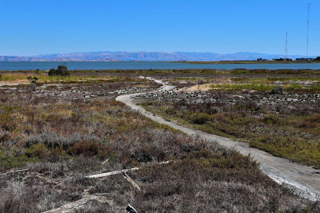 Shorebird Park | Beach Park Blvd, Foster City, CA 94404