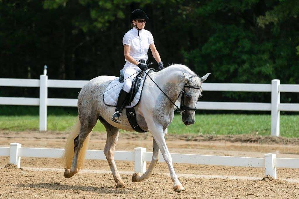 White Rose Equestrian | 1966 Magnolia Grove Rd, Iron Station, NC 28080, USA | Phone: (704) 559-9122