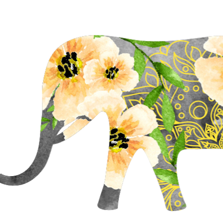 Yellow Elephant Yoga | 3421 Church St, Evanston, IL 60203, USA | Phone: (847) 863-6614