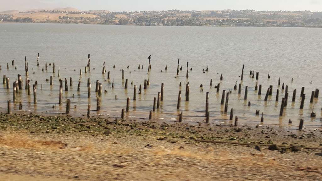 Carquinez Strait Regional Shoreline | Carquinez Scenic Dr, Martinez, CA 94553, USA | Phone: (888) 327-2757