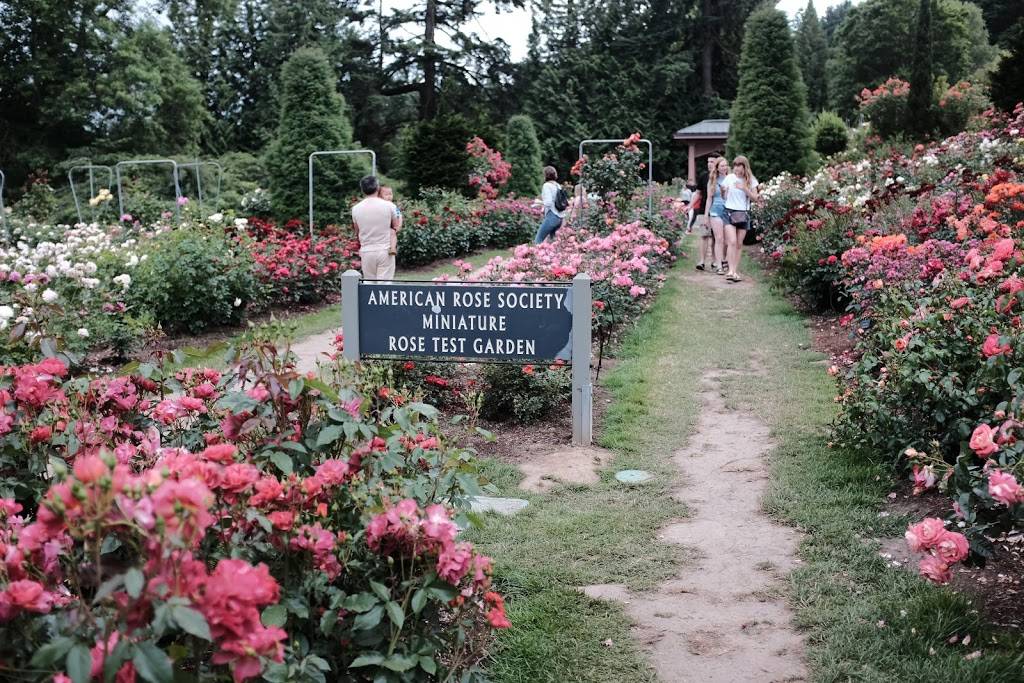 International Rose Test Garden | 400 SW Kingston Ave, Portland, OR 97205, USA | Phone: (503) 823-3636