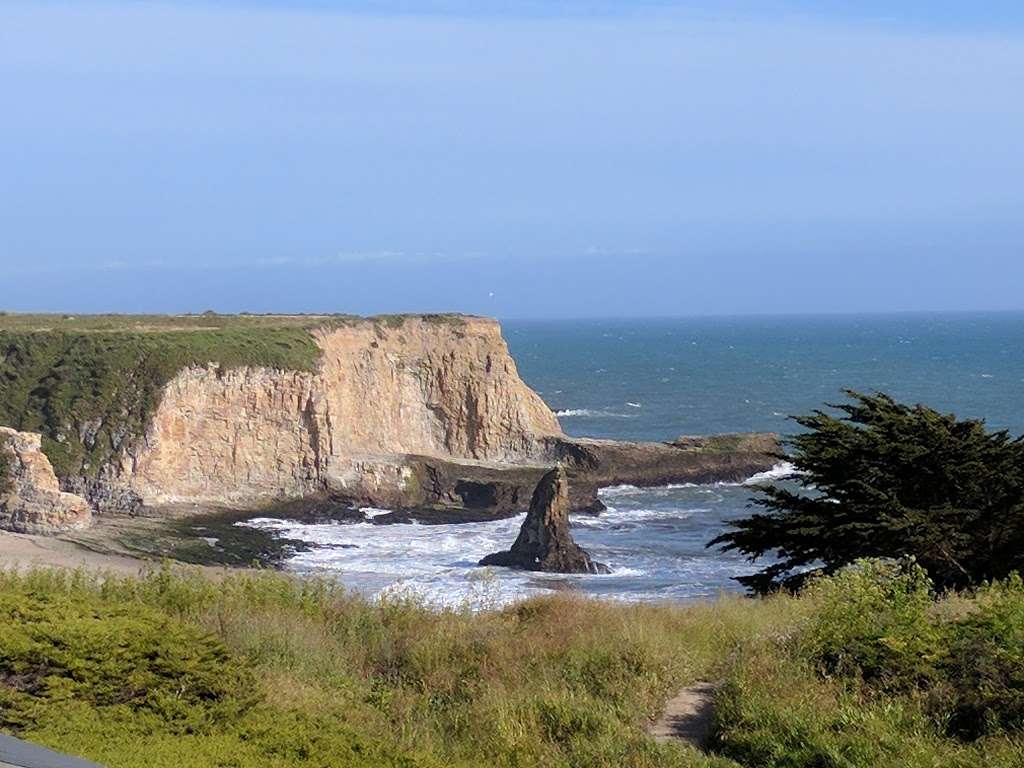 Bonny Doon Vineyard Tasting Room | 450 CA-1, Davenport, CA 95017, USA | Phone: (831) 471-8031