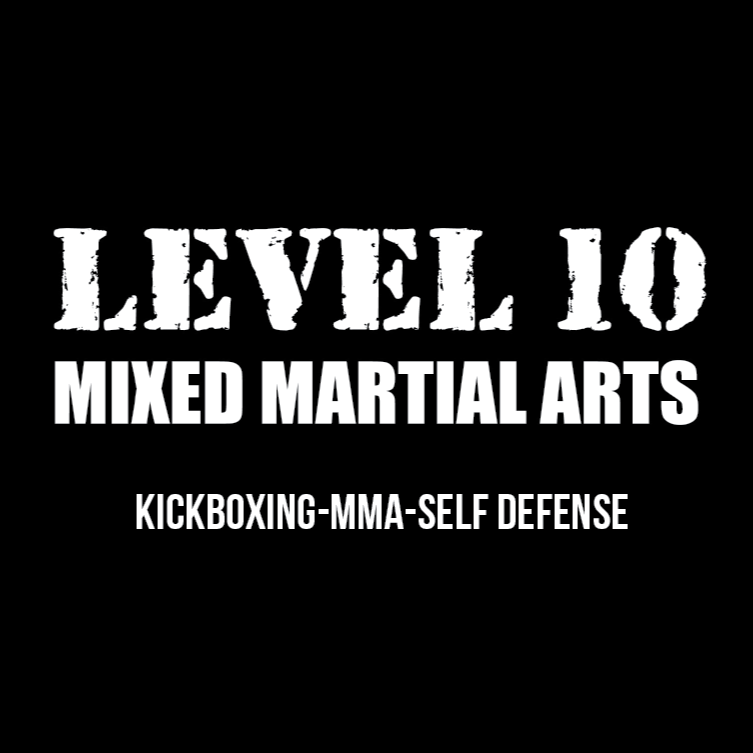 Level 10 MMA of Flemington | 97 River Rd, Flemington, NJ 08822, USA | Phone: (908) 968-4599