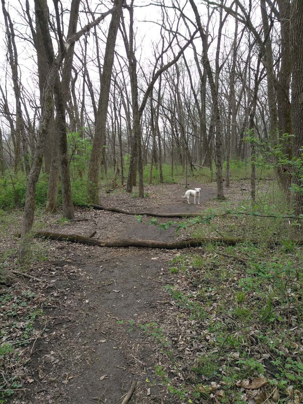 Mutt Run Dog Park | 1330, E 902 Rd, Lawrence, KS 66047, USA