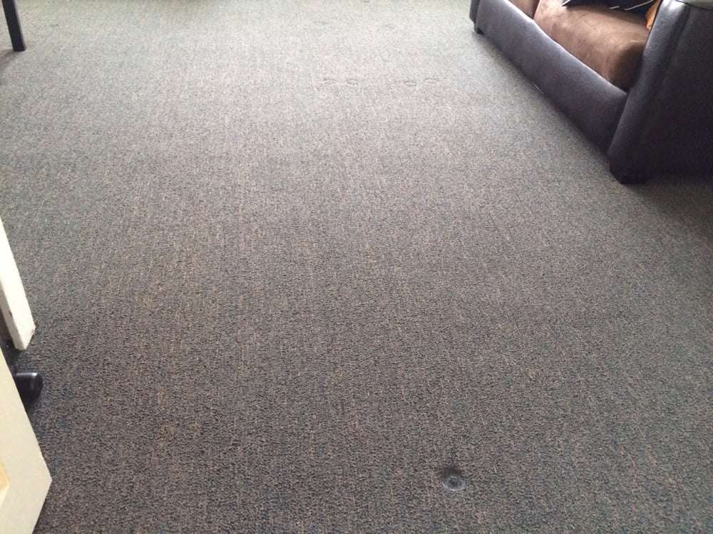 Ace Carpet Cleaning Team | 7310 Royal Palm Blvd, Margate, FL 33063, USA | Phone: (954) 866-2939