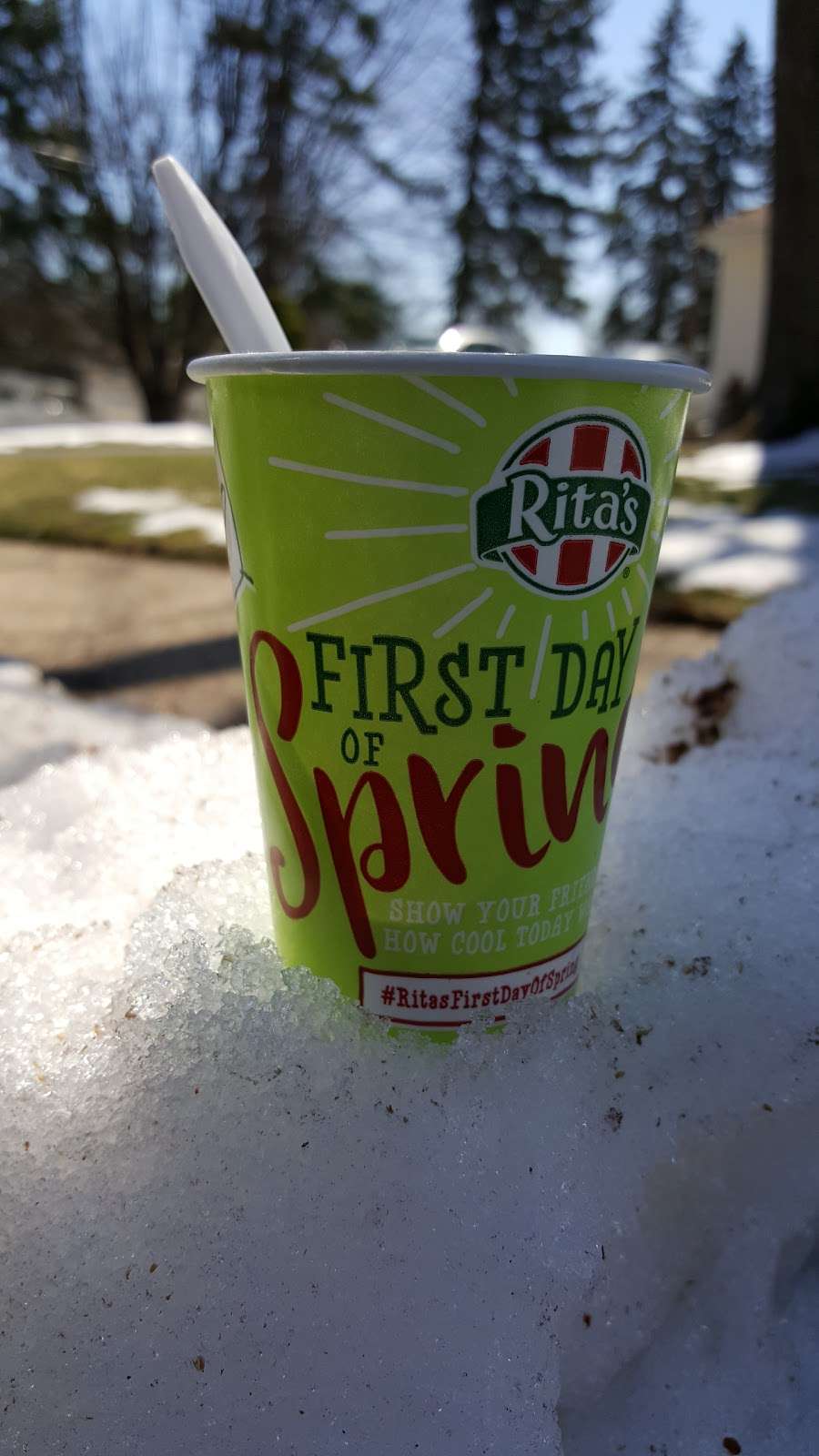 Ritas Italian Ice & Frozen Custard | 1135 Old York Rd, Willow Grove, PA 19090, USA | Phone: (215) 659-1047