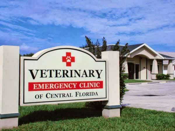 Veterinary Emergency Clinic | 195 Concord Dr, Casselberry, FL 32707 | Phone: (407) 644-4449