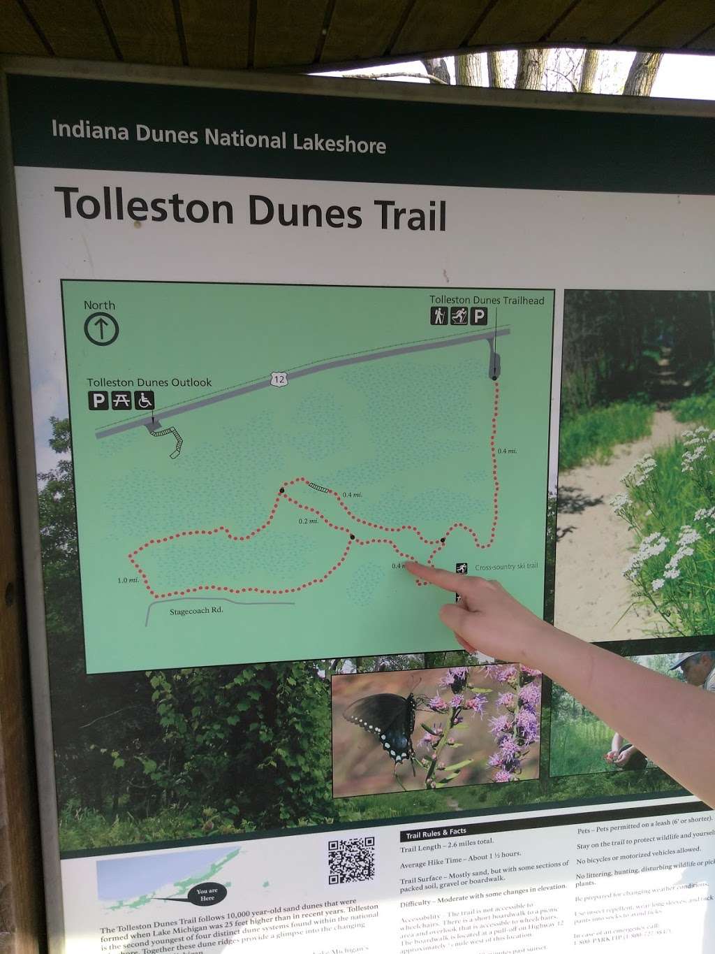 Tolleston Dunes Park | Unnamed Road, Ogden Dunes, IN 46368