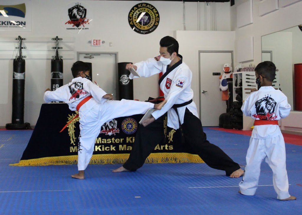 Master Kims MegaKick Tae Kwon Do & Alpha Krav Maga | 8882 Moreland St, Powell, OH 43065 | Phone: (614) 407-3577