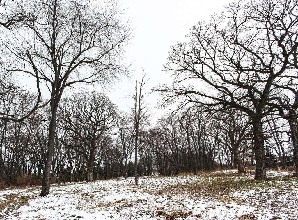 Effigy Mound Preserve | Indian Mound Pkwy, Whitewater, WI 53190, USA | Phone: (262) 473-0102