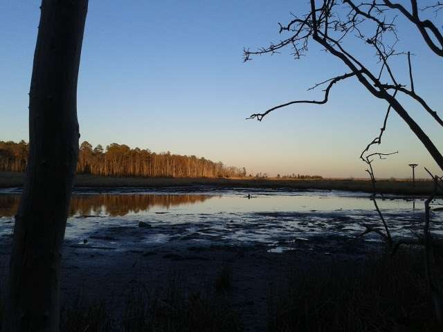 Enos Pond County Park | 320-330 E Lacey Rd, Forked River, NJ 08731, USA | Phone: (877) 627-2757