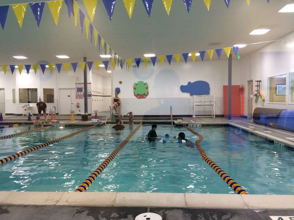 Sutton Swim School | 96 San Tomas Aquino Rd, Campbell, CA 95008, USA | Phone: (408) 996-9800