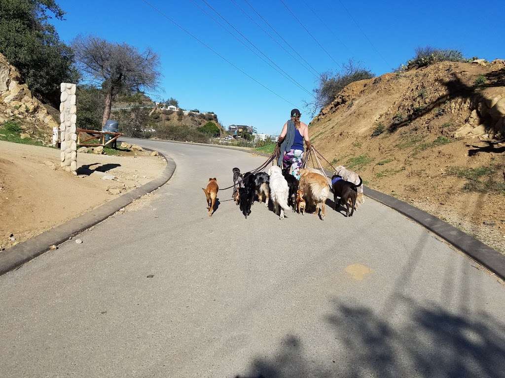 Runyon Canyon North Entrance | 7317 Mulholland Dr, Los Angeles, CA 90046, USA