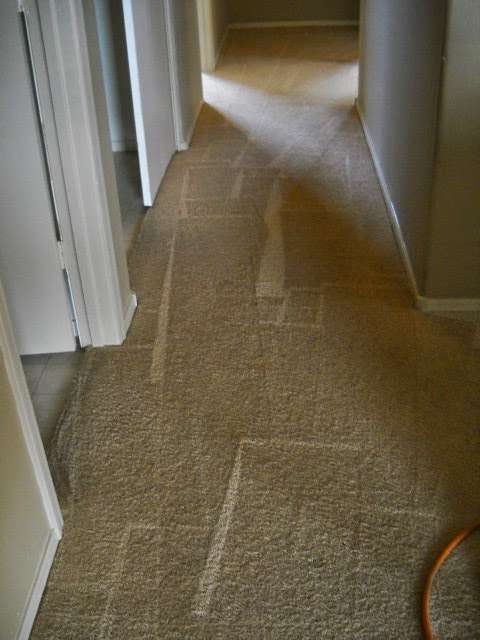 Qualitymaster Carpet Care | 11925 W Thunderbird Rd #2092, El Mirage, AZ 85335, USA | Phone: (602) 505-4091