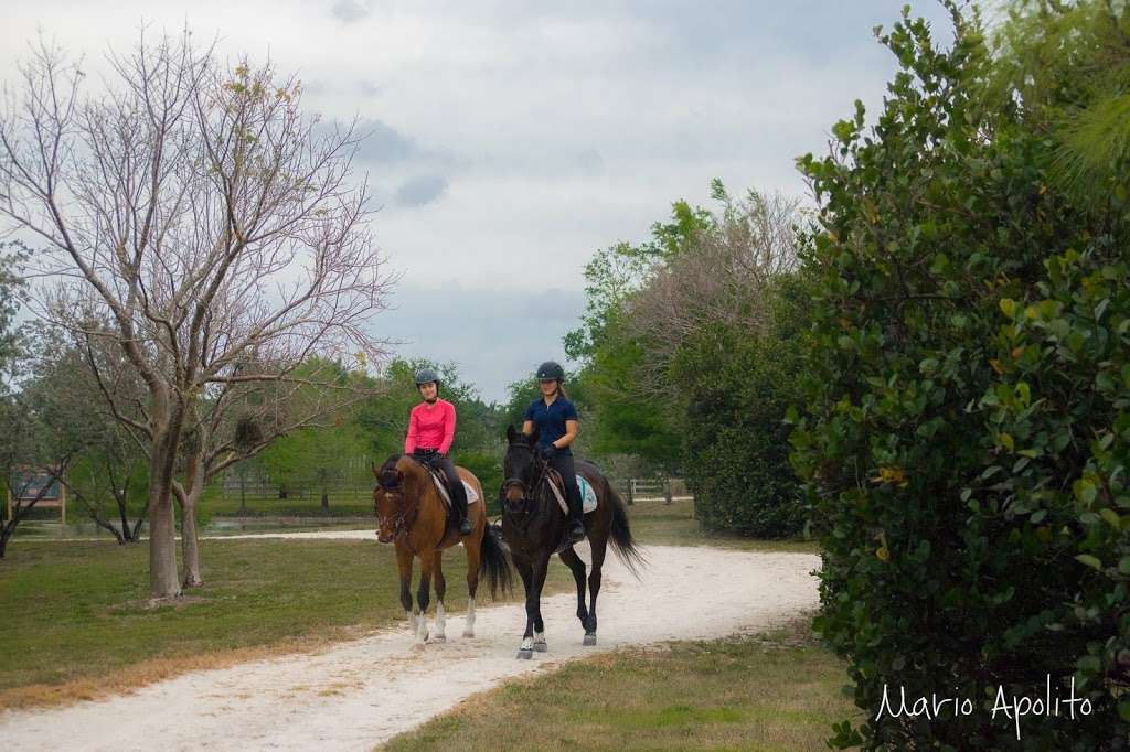 Sunshine Ranches Equestrian Park | 5840 SW 148th Ave, Fort Lauderdale, FL 33330, USA | Phone: (954) 434-0008