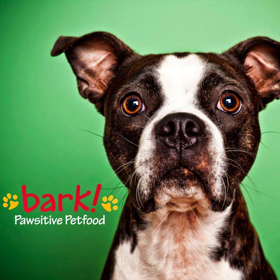 Bark! | 16822 Georgia Ave, Olney, MD 20832, USA | Phone: (301) 570-4903