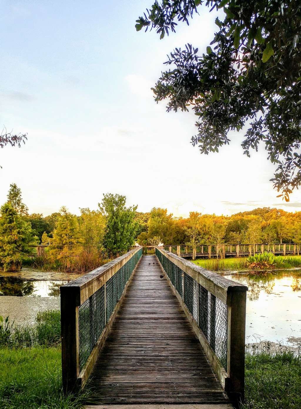 South Lake Howard Nature Park | 1570 Lake Howard Dr SW, Winter Haven, FL 33880, USA