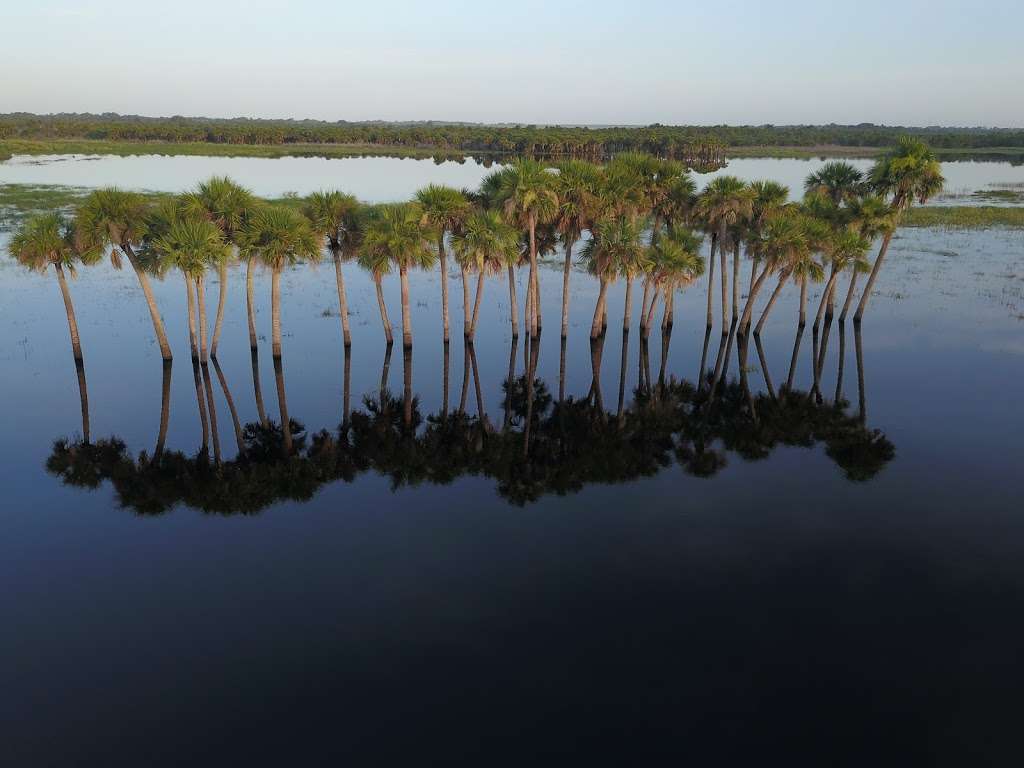 Salt Lake Wildlife Management Area | Mims, FL 32754, USA