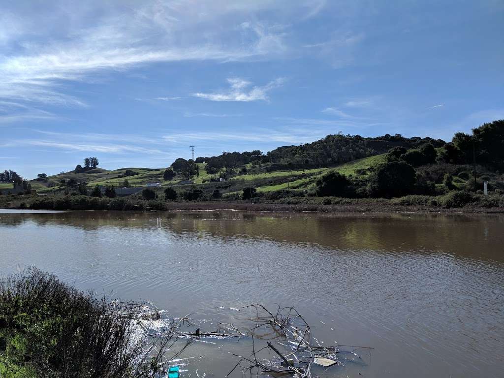 Petaluma Marsh | 745 Baywood Dr, Petaluma, CA 94954