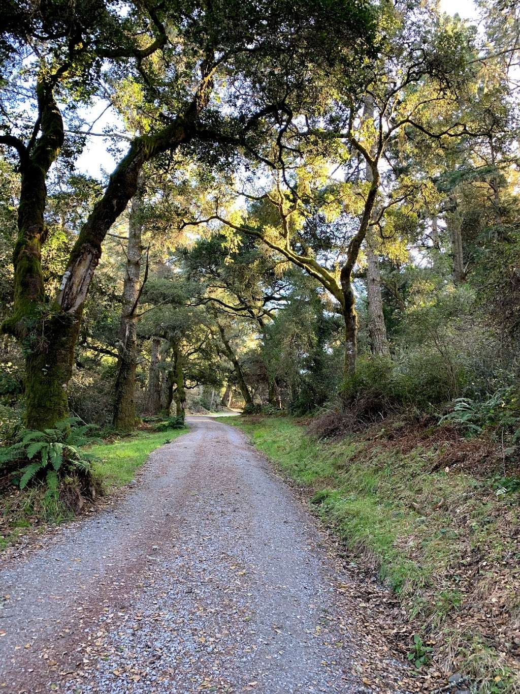 Sky Trailhead | Point Reyes Station, CA 94956, USA | Phone: (415) 464-5100