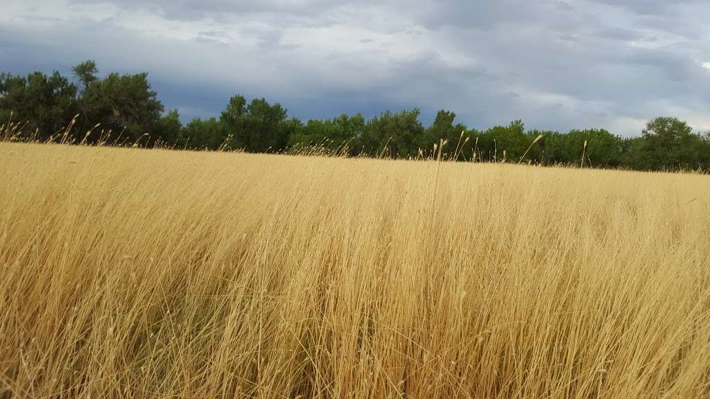 Sand Creek Riparian Preserve | 20809 E 6th Ave, Aurora, CO 80018, USA | Phone: (303) 297-1192