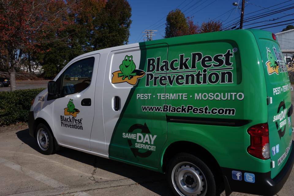 Black Pest Prevention, Inc. | 526 W John St, Matthews, NC 28105, USA | Phone: (704) 522-9222